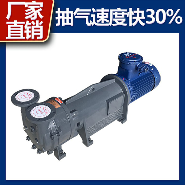 防爆水環(huán)真空泵