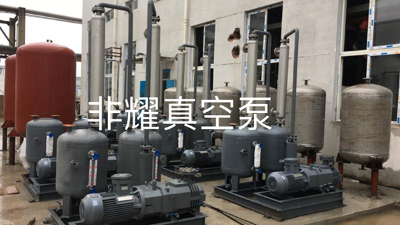 廠家講解干式螺桿真空泵在工業(yè)上的應用【非耀】