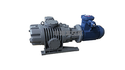 深受喜愛(ài)的多級(jí)羅茨真空泵都具有哪些優(yōu)點(diǎn)【非耀】