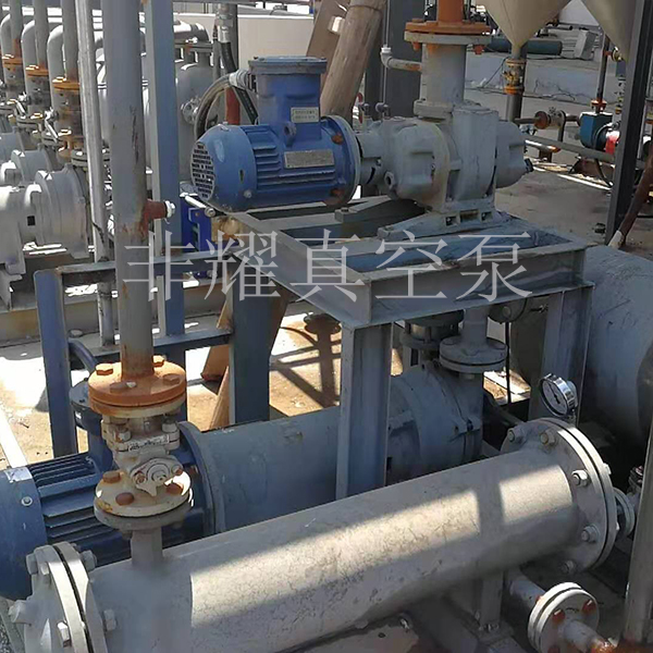 羅茨水環(huán)真空泵機組