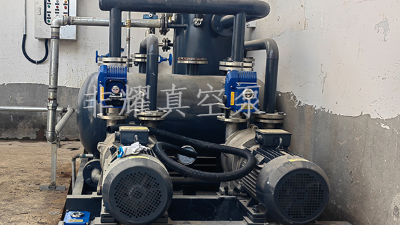 處理2BV水環(huán)真空泵故障【非耀】