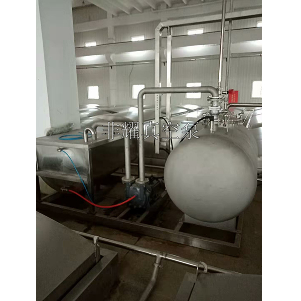 液環(huán)真空泵