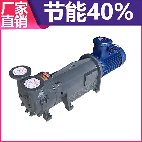 2BV水環(huán)真空泵