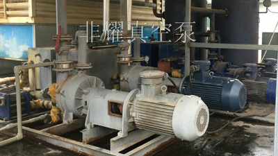 耐腐蝕水環(huán)真空泵型號(hào)介紹，這次有新面孔【非耀】