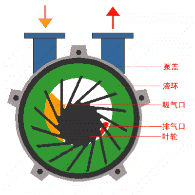 水環(huán)真空泵動(dòng)態(tài)圖