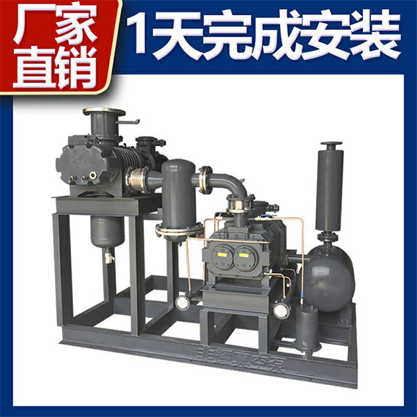 羅茨真空泵機(jī)組型號