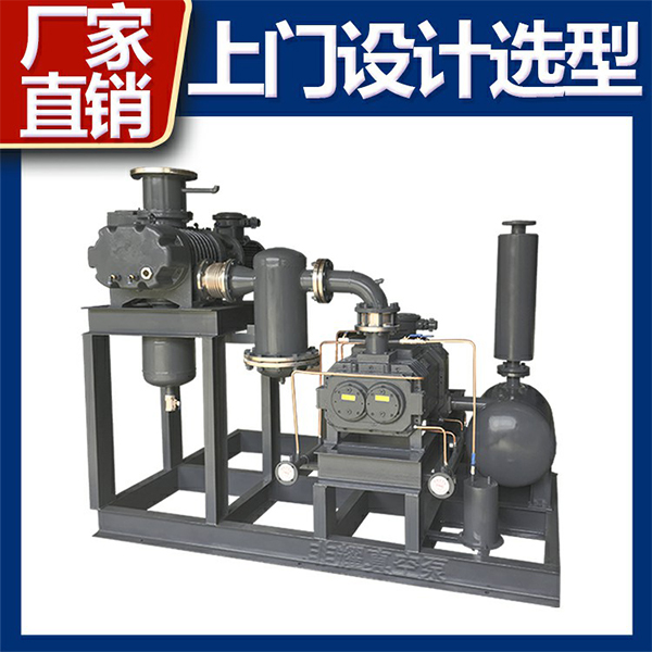 羅茨真空泵機(jī)組型號