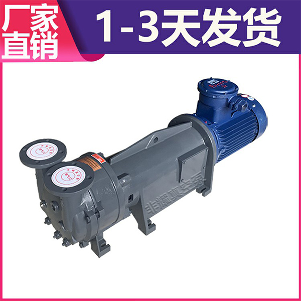 耐腐蝕水環(huán)真空泵